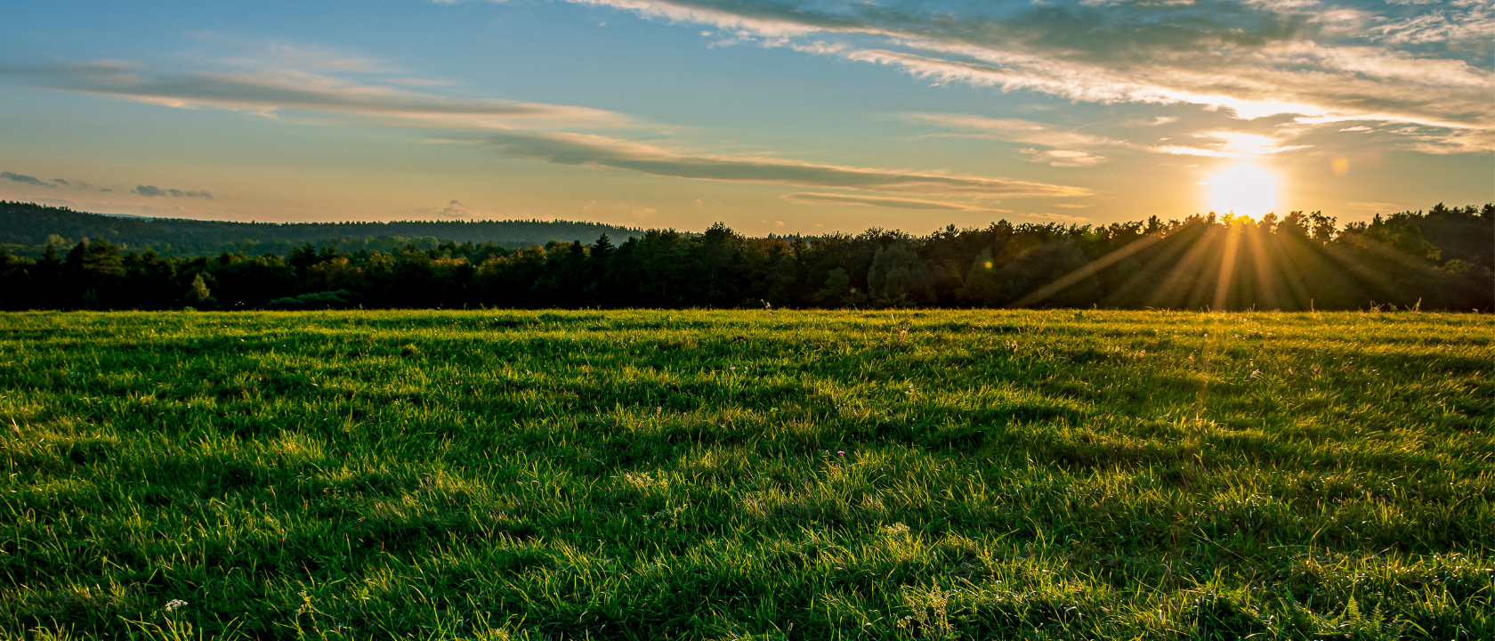 SWC & Blue Green Yonder